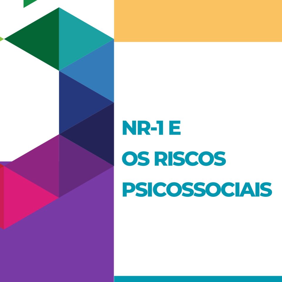 E-book - NR1 - Como estruturar uma gestão segura e eficaz (1)-1_page-0001